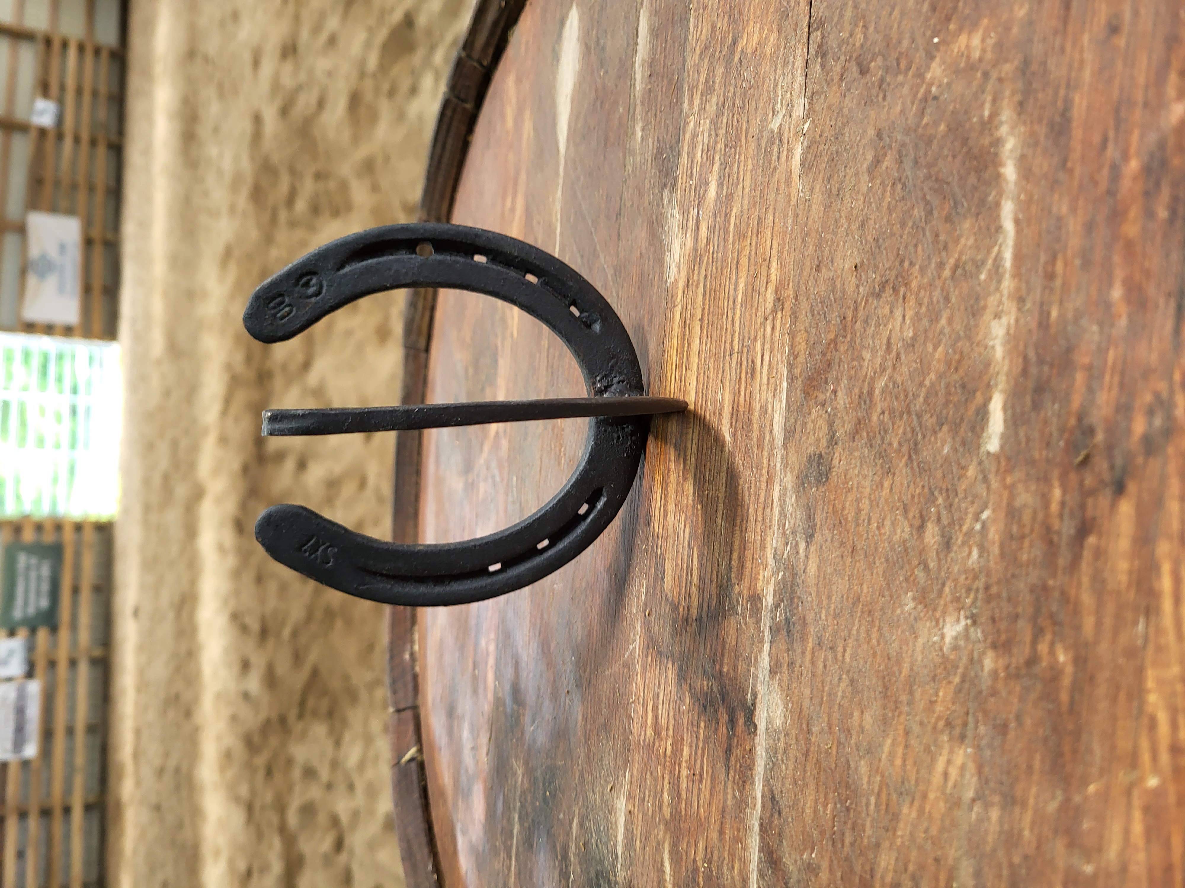 Horseshoe Hook